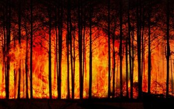 Crísis diplomática a raíz de los incendios en la Amazonía brasileña